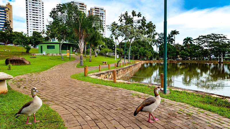 Aproveite o melhor de Goiânia com conforto no Castelo Inn Hotel. Crédito: Leandro Moura/MTur