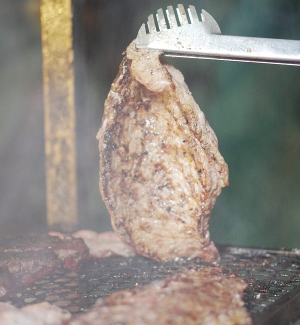 Churrasco casteloinn (5)