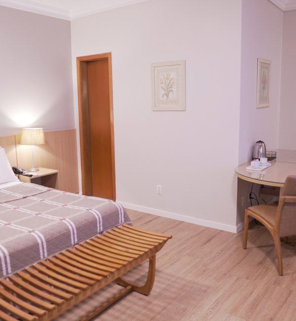Executivo casteloinn (11)