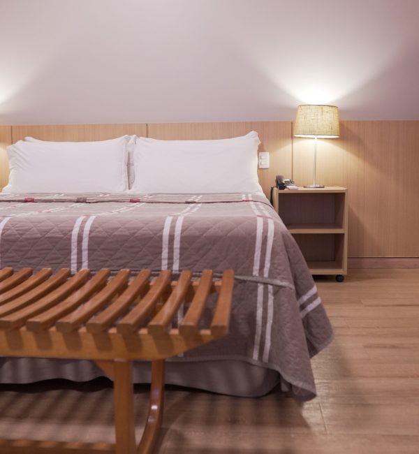 Executivo casteloinn (13)