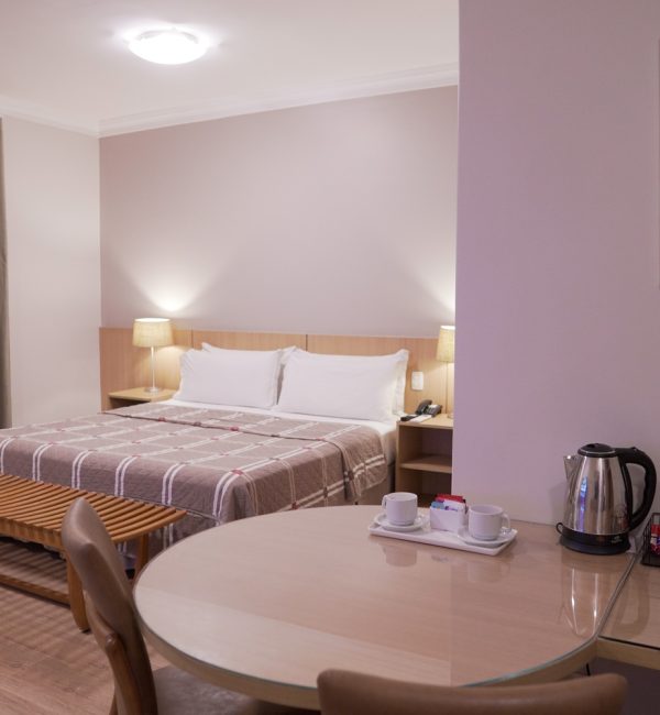Executivo casteloinn (21)