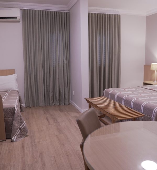 Executivo casteloinn (22)