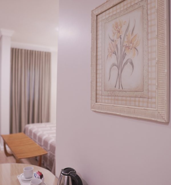 Executivo casteloinn (3)