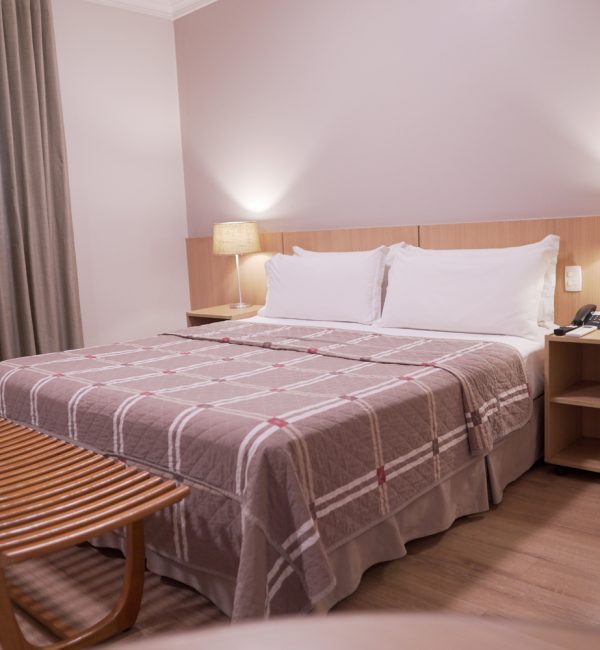 Executivo casteloinn (5)